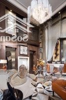Duy Nhất - Ngang 8,3M! Mặt Tiền Hồ Biểu Chánh (8,3X13,3M) 107M2. Cpxd: Hầm 5 Tầng St. Giá Bán 24 Tỷ Tl