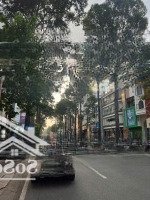 Building Có Hđt: 6,5 Tỷ Mặt Tiền Mạc Đĩnh Chi, Đakao, Quận 1.Diện Tích240M2 (12X20M), Hầm 8 Tầng. 105 Tỷ