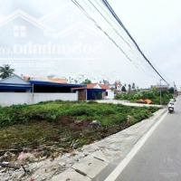 Lô Đất Tuyến 1 Trục Đường 203 Lâm Động- Thủy Nguyên. Truc Kinh Doanh Buôn Bán