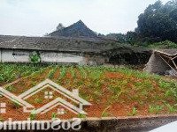 Bán Đất Đẹp Hòa Trúc Hòa Thạch,Quốc Oai,Vị Trí Tiềm Năng, Sổ Hồng Riêng!Dt 122,2M, Mt9M, Giá Bán 2, 25Tỷ