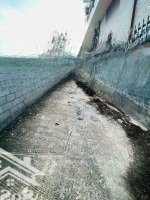Bán Đất Phước Lộc Gần Nhà Văn Hoá Phước Lộc -Diện Tích101M2 - Cách Đường Chính 20M - Giá Bán 1 Tỷ 450 Tr