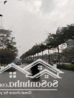Mặt Phố Lạc Long Quân - Vỉa Hè Đá Bóng - Sổ Vuông Đẹp, Mặt Tiền Đẹp