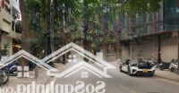 12,99Tỷ - Phố Phan Kế Bính- Đội Cấn - Tt Ba Đình.nhà Dân Xây Kiểu Biệt Thự Sân Vườn Nhỏ