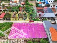 Hôm Nay Bên E Mở Bán 6 Lô F0 Hoàng Động - Phường Hoàng Lâm.
Diện Tích Từ 77-80Mv
Ngõ Oto Vào