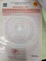 Bán Đất Mặt Tiền Đường Nhựa Châu Pha Vị Trí Cực Đẹp