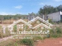 Bán 2030M2 Đất Ở Thanh Tuyền, Bình Dương, Giá Bán 970 Triệu, Sổ