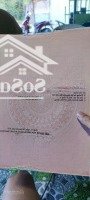 Hót Đất Thổ Cư Hẻm Xe Tải Chỉ 28 Tr/M2 Đường Apd 25 Quá Rẻ Đầu Tư Nha