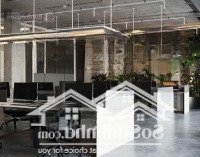 Bán Nhà Mặt Tiền Ngay Hòa Bình - Lũy Bán Bích - 8X25M - Hầm 6 Tầng - Hdt: 110 Triệu/Tháng - Giá: 22 Tỷ