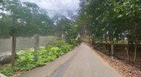 Bán 200M2 Sổ Riêng Thổ Cưmặt Tiềnđường Nhựa Xã Đồi 61 Giá Cực Rẻ Chỉ 950 Triệu