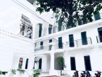 Cho Thuê Chdv Mới Toanh Đầy Đủ Nội Thất Ban Công Ngay Vòng Xoay Liên Phường, Kdc Phú Hữu