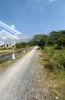 Bán Đất 1273M2 Tại Đường Nguyễn Văn Bứa, Xã Xuân Thới Sơn, Hóc Môn, Hồ Chí Minh, 28 Tỷ