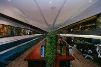 Em Trai Nhờ Bán Nhà Liền Kề Văn Phú 80M2, Mt5M, Giá Bán 19.5 Tỷ. Kinh Doanh Đỉnh, Có Thang Máy.
