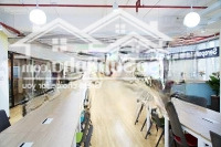 Bán Tòa Nhà Siêu Vị Trí Mặt Tiền Nguyễn Công Trứ -Diện Tích9.5X22M - Hầm 9 Tầng, Hđt: 200 Triệu - Giá Bán 65 Tỷ