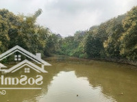Bán 12.643M2(1,26Ha) Giá Chỉ Hơn 600K/M2 Có Nhà Vườn Ao Tại Lương Sơn Làm Khuôn Viên Nghỉ Dưỡng .