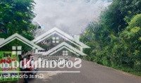 Bán Đất Sổ Sẵn Đường Nhựa 15M Trung Tâm Bình Dương, Vốn Chỉ Cần 290 Triệu - Tiềm Năng Sinh Lời Cao