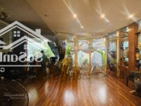 Bán Biệt Thự Phân Lô, Ô Tô Vào Nhà, Phố Linh Lang, Ba Đình, 130M2, 5 Tầng, Dân Trí Cao. Giá Bán 35 Tỷ