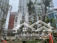 Bán Gấp Liền Kề Căn Góc Đẹp, Xây 6 Tầng.mặt Tiền22M. Giá Nhình 30 Tỷ