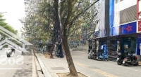 Mặt Phố Nguyễn Trãi . 500M X Mặt Tiền 25M , Đẹp Nhất Phố . 86 Tỷ
