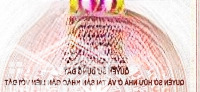 Chính Chủ Bán Đất Khu Đấu Giá Tiên Dược, Giáp Trung Tâm Thị Trấn Sóc Sơn