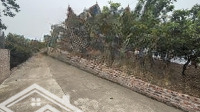 Bán Đất Tại Xã Hạ Mỗ, Đan Phượng, Hà Nội, 6 Tỷ, 200M2, Giá Ưu Đãi Hot