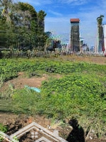 Kẹt Tiền Bán Lô Đất Mạc Đĩnh Chi, Phường 4, Gần Bệnh Viện Đa Khoa Tỉnh Sóc Trăng 120M2 Shr