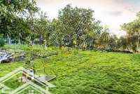 Mở Bán Biệt Thự Siêu Vip - Mặt Suối - Đường Lớn - View Đẹp - Hướng Đông Nam - Duy Nhất 03 Căn