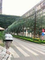Bán Đất Ngã Tư Phúc, Hà Đông - Khu 7 Tầng, Phân Lô 77.5M2,Mặt Tiền5M- Ô Tô Bus Tránh - Kinh Doanh Đỉnh