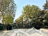 Chính Chủ Bán Đất Mp Đấu Giá 31 Ha Trâu Quỳ Gia Lâm 240M -Mặt Tiền12M Vỉa Hè - Kinh Doanh Hơn 100 Tr/M