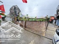 Bán Đất Tại Kiêu Kỵ, Gia Lâm, Hà Nội, Giá Ưu Đãi 12,5 Tỷ, 148 M2