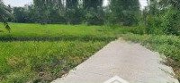 Bán Đất Vườn 12X82, Có 140M2 Thổ Cư, 860M2 Đất Vườn, Đối Diện Kcn Phú An Thạnh