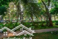(Hot) Booking Rổ Hàng Diamond Brilliant Trong Tháng 3 - Trả 3 Năm Nhận Nhà Ngay 20%