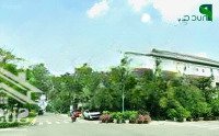 Biệt Thự Phúc An City - Tư Vấn Chuyên Nghiệp Báo Giá Chính Xác, Vận Hành Cho Thuê Cho Nhà Đầu Tư