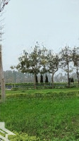 Bán Nhà Cự Khối: Khu Phân Lô, Vỉa Hè, 7 Tầng, Thang Máy, Gara Ô Tô