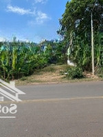 Đất Nền Tại Đường Nguyễn Hoàng, Xã Thanh Bình, Trảng Bom, Đồng Nai Chỉ Với Giá Tốt 3 Tỷ, 320M2