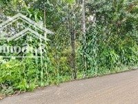 Bán Vườn Trái Cây Giá Ngộp 5867M2 140M2 Thổ Cư, Đường Nhựa 1 Sẹc Đường Mỹ Xuân - Ngãi Giao, Brvt