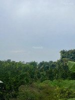 Ra Nhanh 3100M2 Vườn Mít Trên Đất Có Sẵn (5X40M) Thổ Cư Cách Chợ Phú Thuận 2,5Km