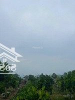 Ra Nhanh 3100M2 Vườn Mít Trên Đất Có Sẵn (5X40M) Thổ Cư Cách Chợ Phú Thuận 2,5Km