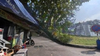 Bán Đất Tại Đường 3, Vĩnh Phú, Thuận An, Bình Dương, 3,2 Tỷ, 50M2