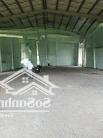 Cho Thuê Nhà Xưởnng Tân Phú Trung Củ Chi, Dtkv 3200M2, Xây Dựng 700M2, Giá 50 Triệu/Tháng