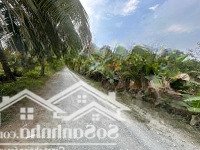 108M Mặt Tiền Xã Hữu Thạnh Ngộp Bank