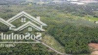 Bán 4 Ha Đất Vườn Tại Xã Suối Rao, Châu Đức, Bà Rịa