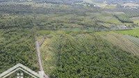 Bán 4 Ha Đất Vườn Tại Xã Suối Rao, Châu Đức, Bà Rịa