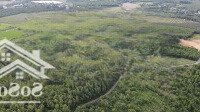 Bán 4 Ha Đất Vườn Tại Xã Suối Rao, Châu Đức, Bà Rịa
