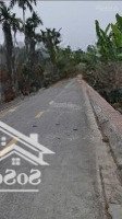 Mặt Đường Hy Tái, Hồng Thái, An Dương 112M2 Đường Nhựa Thông