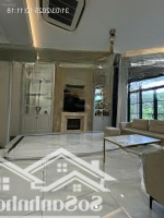Chính Chủ! Cho Thuê Biệt Thự Chateau Phú Mỹ Hưng, Q7 Full Nội Thất Mới 100% (Hình Thật 100%)