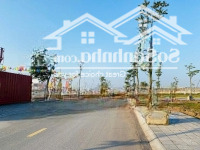 Sốc! Đất Khu Đô Thị Mặt Trục Chính Chỉ Hơn 20 Triệu/M2 Kinh Doanh Đỉnh Cao Tại Tiền Hải - Thái Bình