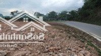 Bán Đất Hồ Chí Minh, 7 Triệu/M2, 1305.7M2, Bảo Hiệu, Yên Thủy, Hòa Bình Giá Tốt