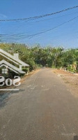 Cần Bán Gần 1 Mẫu Vườn Trái Cây Đá Bạc Giáp Long Phước Tp Bà Rịa Có 600M2 Thổ Cư Giá Rẻ Chỉ 7,8 Tỷ