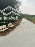 Cần Bán Gần 1 Mẫu Vườn Trái Cây Đá Bạc Giáp Long Phước Tp Bà Rịa Có 600M2 Thổ Cư Giá Rẻ Chỉ 7,8 Tỷ