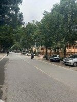 Bán Đất Tặng Nhà Cấp 4 Ở Luôn Đang Cho Thuê Dòng Tiền Ổn Định. Kinh Doanh Bất Chấp.diện Tích60M2 Xmặt Tiền6M